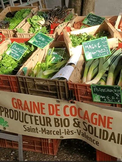 Capture d'écran 2026-08-11 162313