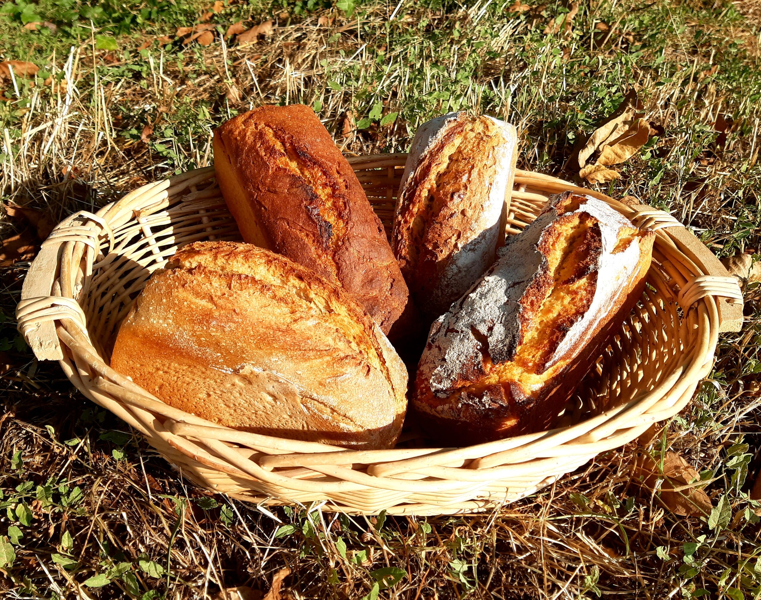 panière pains
